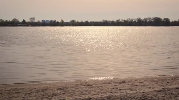 Світанок над водою блищить на сонці — стокове відео