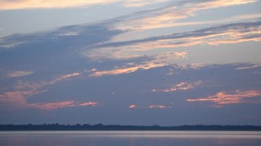 Renkli arkadan aydınlatmalı bulutlar ile şafak birçok Kuşlar uçar