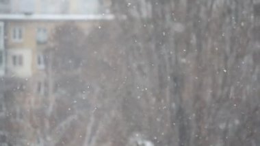 Şehirde bulanık arka plan üzerine düşen kar