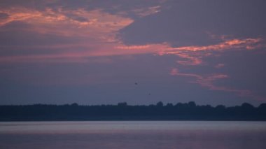 Bir sürü balık sudan uzakta atlamak