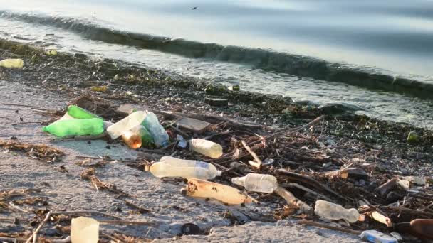 Trash on a beach — Stock Video