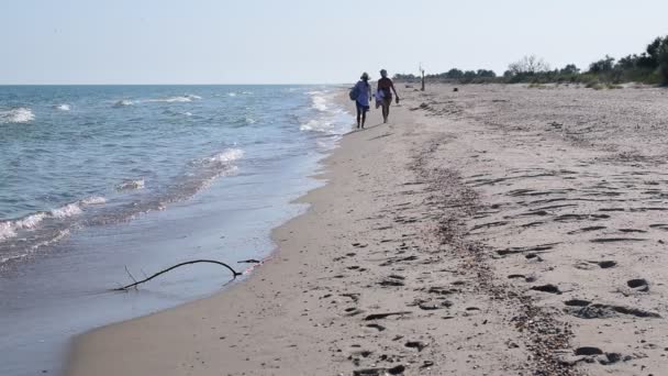 Dvě ženy v kloboucích projít po písečné pláži daleko od kamery v létě — Stock video