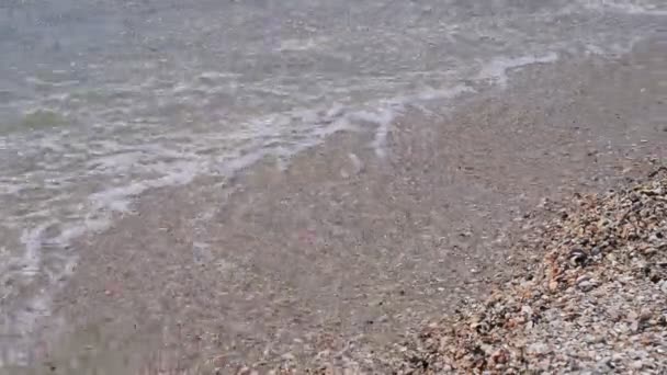 Pies de mujer y niña caminando en la playa de arena — Vídeos de Stock