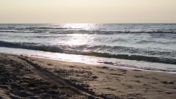 Волны на пляже. Концепция праздника — стоковое видео