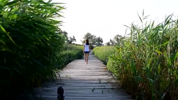 Cat segue una bella ragazza a piedi nudi sottile — Video Stock