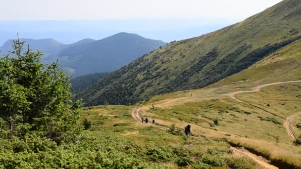 Hikers walk far off in mountains in summer — Stock Video