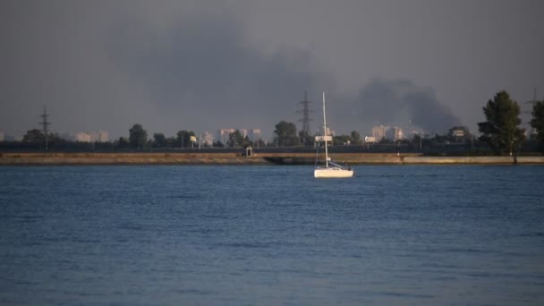 Yachts sans voiles sur l'eau en été — Video