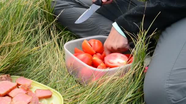 Жінка ріже червоні помідори під час пікніка на природі — стокове відео