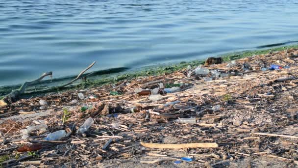 Eau polluée et déchets sur une plage — Video