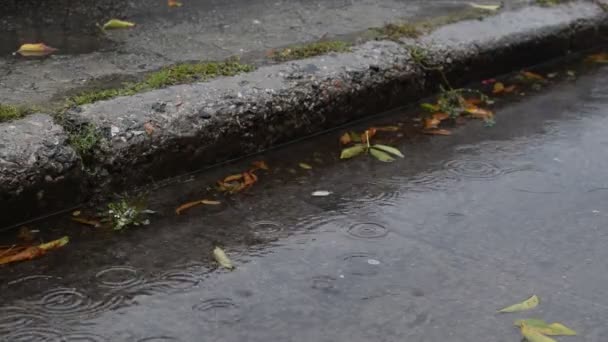 秋を雨します。コンクリートの歩道に雨粒が落ちてください。 — ストック動画