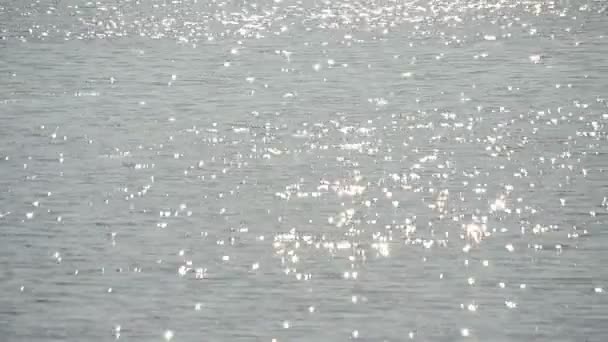 Agua dulce brillante que brilla en el soleado día de verano — Vídeo de stock