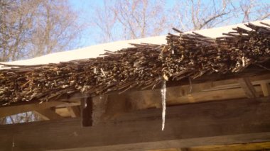 Baharda çözülme. Su damlar thatched çatı üzerinden