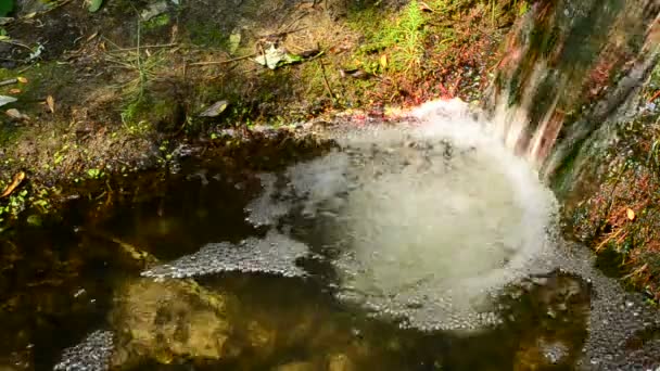 Pequeña cascada en un pequeño río con agua clara que fluye rápidamente — Vídeo de stock