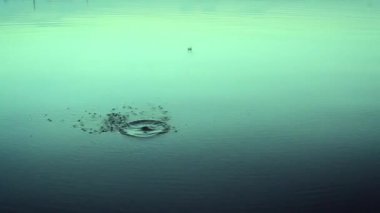 Sakin yumuşak su yüzeyine atlama taşı