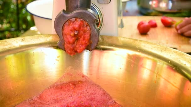 Fare salsa di pomodoro all'aperto . — Video Stock