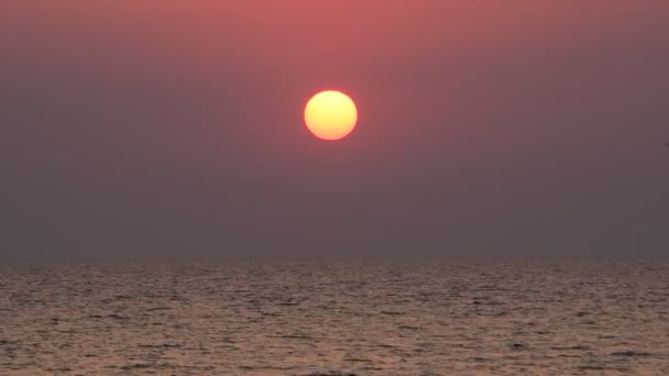 Ptaki latają na tle wschodzącego słońca nad morza o świcie — Wideo stockowe