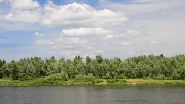 Rivière Desna en été avec des arbres verts et des nuages dans le ciel bleu 