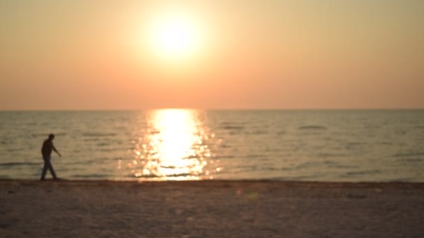 Hombre no identificable camina a lo largo de la orilla en la playa al amanecer — Vídeo de stock