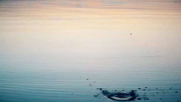 Stone skipping on water — Stock Video