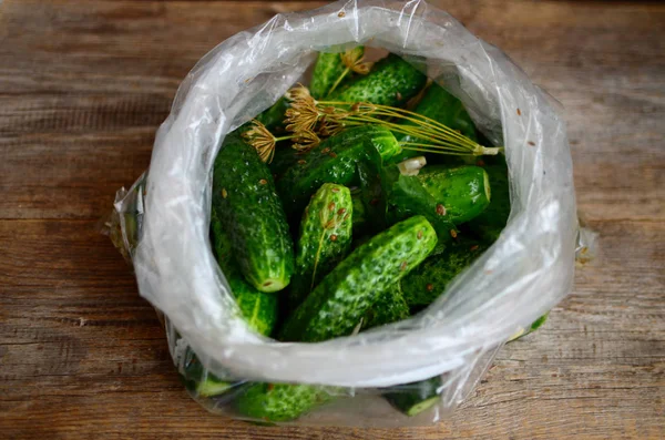 Pepinos recién salados en el paquete — Foto de Stock