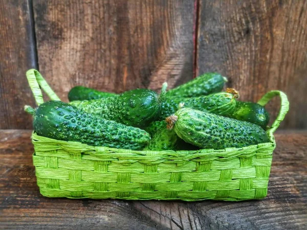 Cucumbers in the basket