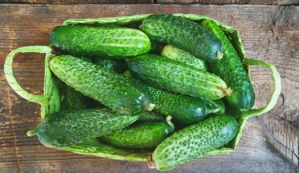 Cucumbers in the basket