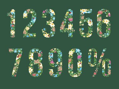 Çiçekler, bitkiler ve ladybugs rakamları kümesi. Vektör uyuşmuş