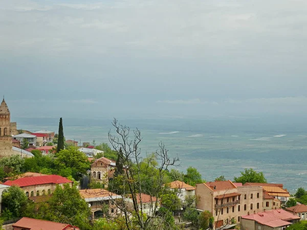 Panoramik eski kasaba Sighnaghi (Signagi) regionn: Kakheti, Georgia. Gürcü şehir bir kayaya. Gürcü sulu bahar Yeşiller gökyüzüne karşı evlerde.
