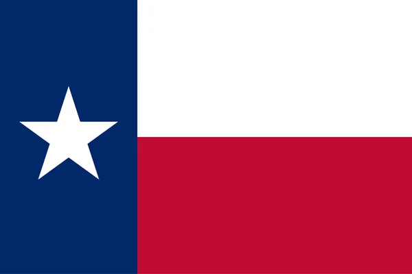 Flagg bygd i Texas – stockvektor