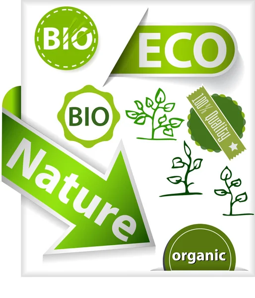 Set groene eco etiketten — Stockvector
