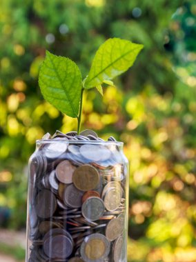 İçinde ev olan paralar, ev konsepti almak için biriktirilen paralar, bulanık arka planda cam kavanozdaki paralar. para tasarrufu finansal kavramı