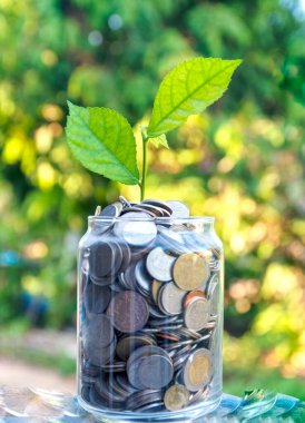 İçinde ev olan paralar, ev konsepti almak için biriktirilen paralar, bulanık arka planda cam kavanozdaki paralar. para tasarrufu finansal kavramı