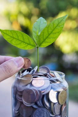 İçinde ev olan paralar, ev konsepti almak için biriktirilen paralar, bulanık arka planda cam kavanozdaki paralar. para tasarrufu finansal kavramı