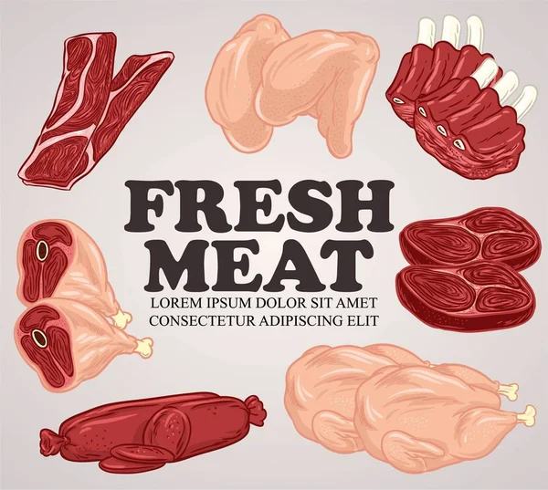 Set vleesproduct doodle vector met kleur — Stockvector
