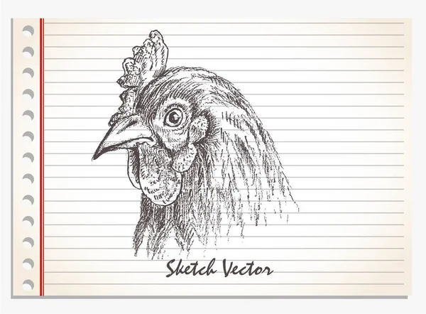 chicken head hand drawn vector on paper isolated  Stock Image  Everypixel