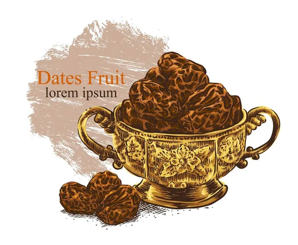 Fond Avec Date Fruit Dessiné Main Illustration — Image vectorielle