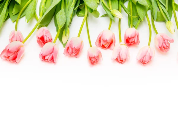 Grupo de flores tulipanes rosados sobre fondo blanco . — Foto de Stock