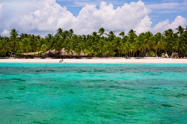 Palms coastline on caribbean beach, Island Saona