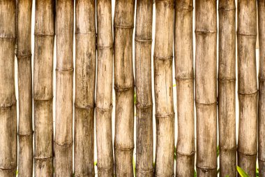 Bambu çit arka plan