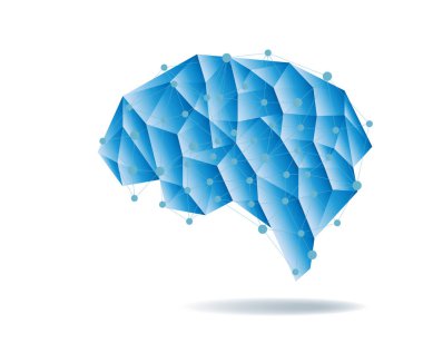 İnsan beyni anatomi yapısı vektör çizim.