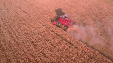 Havadan görünümü birleştirmek biçerdöver buğday toplar