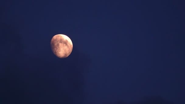 Lua de Ouro em Nuvens . — Vídeo de Stock