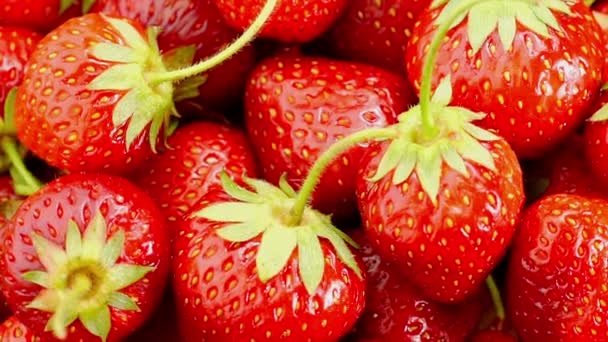 Fragole rosse Ruota . — Video Stock