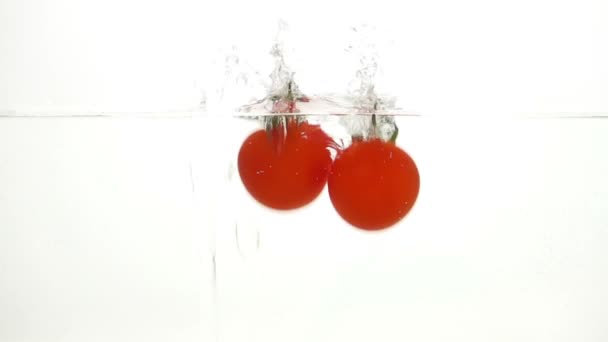 Ganze Tomaten fallen durch Wasser. — Stockvideo