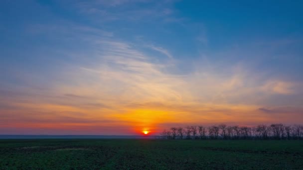 Coucher de soleil sur le champ vert . — Video