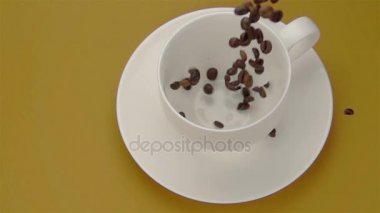 Bütün kahve çekirdekleri fincan içine düşen.