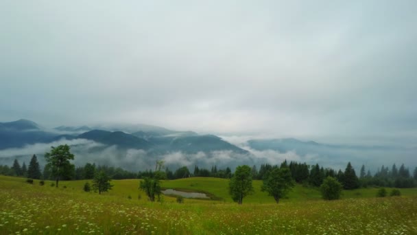 Misty manhã nas montanhas . — Vídeo de Stock