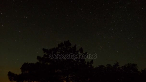 La notte stellata in transizione verso l'alba . — Video Stock