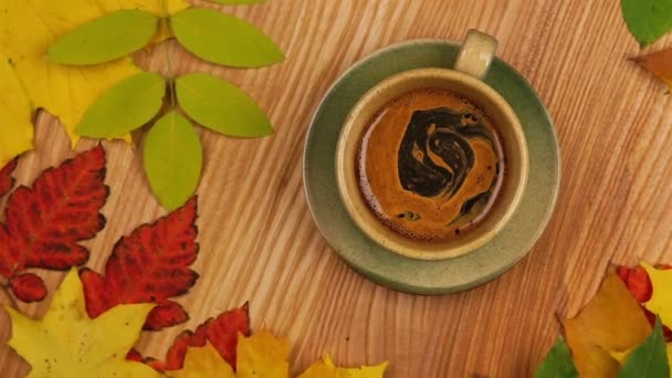 Hojas de otoño con café . — Vídeos de Stock