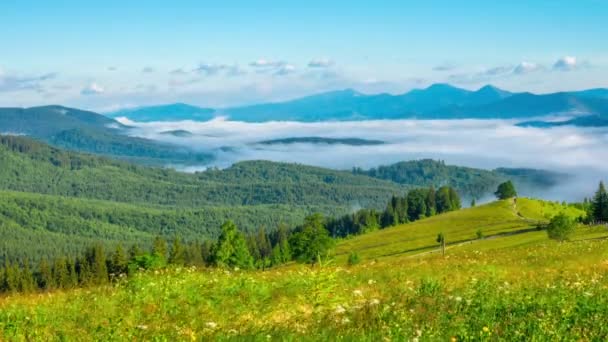 Matin Brumeux Dans Les Montagnes Avec Nuages Arrière Plan Temps — Video